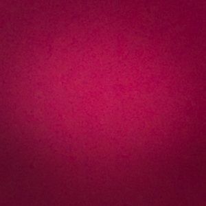 Meet your Posher, Isabelle